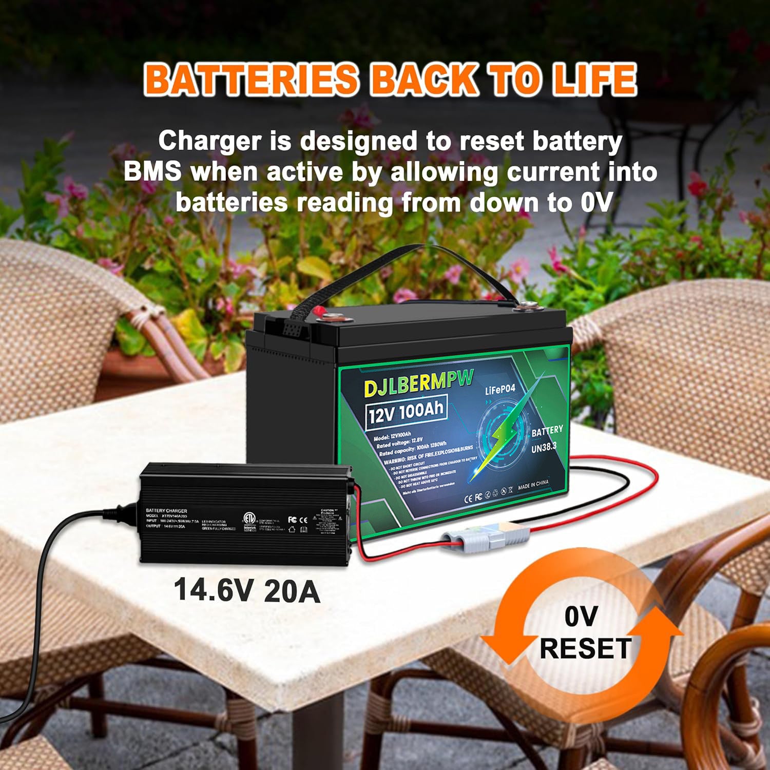 12V 20A Lithium Battery Charger,14.6V LiFePO4 AC-DC Battery Charger for Lithium LiFePO4 Deep Cycle Batteries